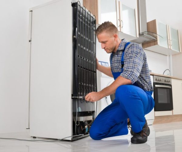 Freezer-repair