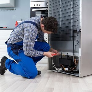 Fridge-Repair